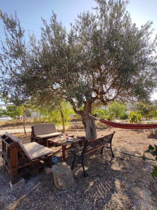 Apartment Lenia's Agios Nikolaos (Crete)